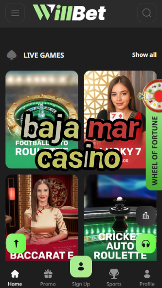Baja Mar Casino - Top Mexican Coastal Casino-casinodogs.ydblkf.net