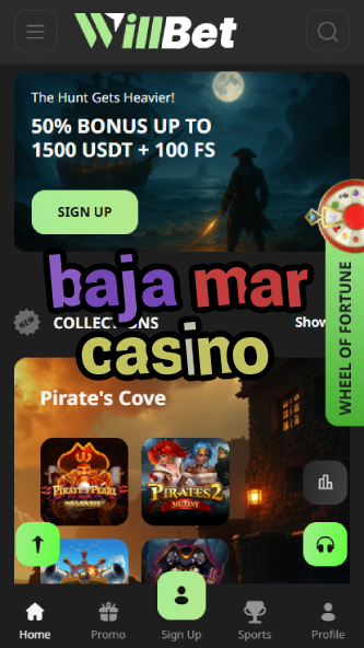 Baja Mar Casino - Top Mexican Coastal Casino-casinodogs.ydblkf.net