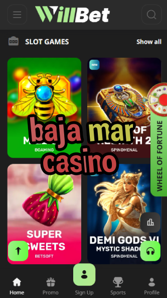 Baja Mar Casino - Top Mexican Coastal Casino-casinodogs.ydblkf.net